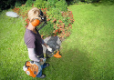 Kosa spalinowa STIHL FS 40 agroveo