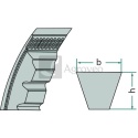 Pasek klinowy 551AVX 10 X 1060 1004254, 5094418, AVX10 1060 Pasek klinowy 551AVX 10 X 1060 1004254, 5094418, AVX10 1060