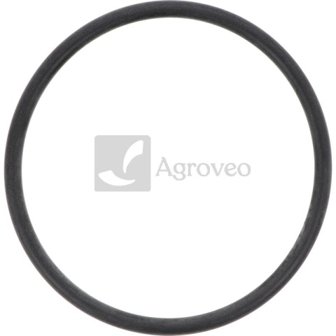 Oring 74711026 02/910886 Oring 74711026 02/910886