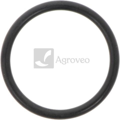 Oring 74715846 V614602930