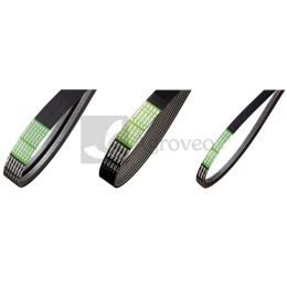 Pas klinowy 55130485 3619356M91, 1004820, AP1004820