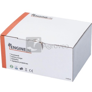Prostownik 6272318