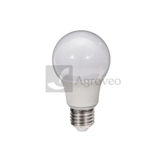 Żarówka LED 693LED-2886H LED-3007