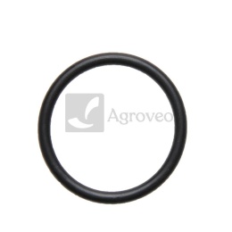 Oring zaworu pompy 634AP21OR35X5 AP 21OR35X5