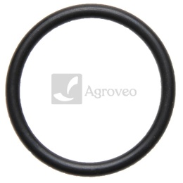 Oring zaworu pompy 634AP21OR38X4 AP 21OR38X4