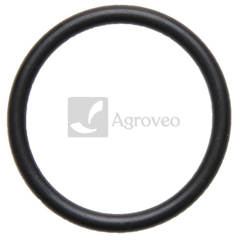 Oring zaworu pompy 634AP21OR38X4 AP 21OR38X4