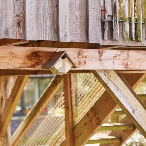 Gniazdo dla jaskółek Eve 11286306