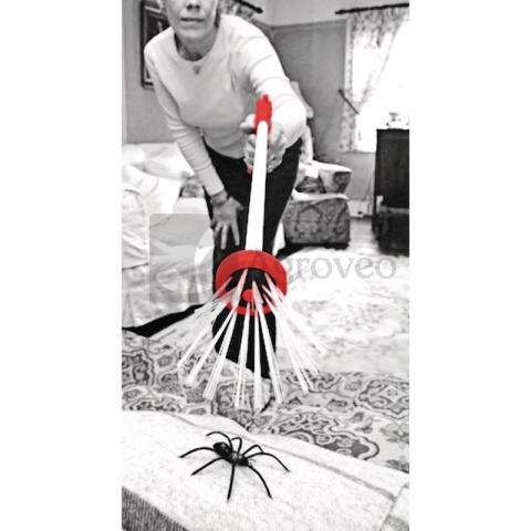 Łapacz pająków/łapacz owadów 11204948 1 270 001