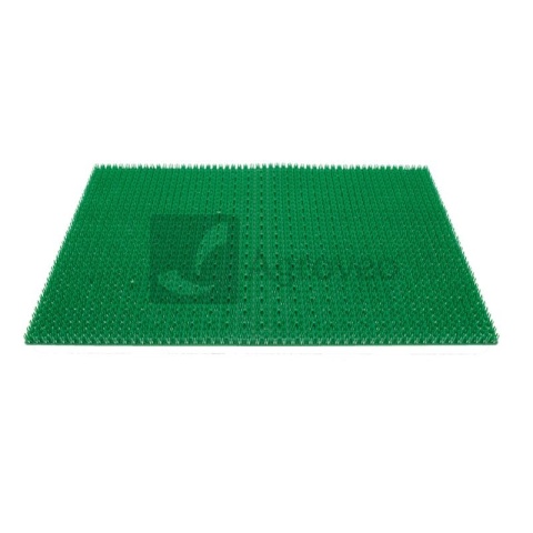 Mata koronowa 76570746