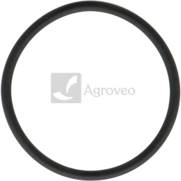 Pierścień uszczelniający 55800426 380840665-0001
