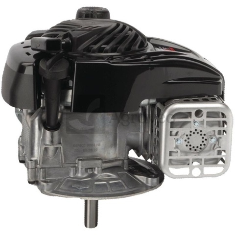 Silnik seria 500E OHV / 09P8 12268500 09P8020004H5YY0001