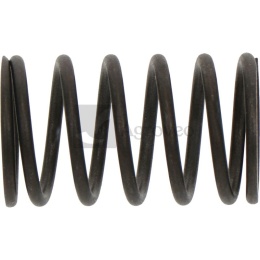 Sprężyna zaworu 55800444 140340039-0001