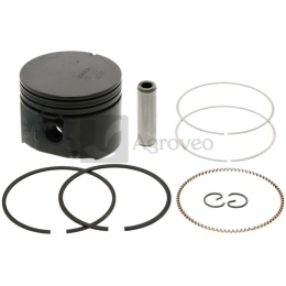 Tłok 715795691 699657, 699656, 695636, 790908, 498676, 498668, 795691