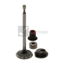 Zawór ssący 715590530 590530