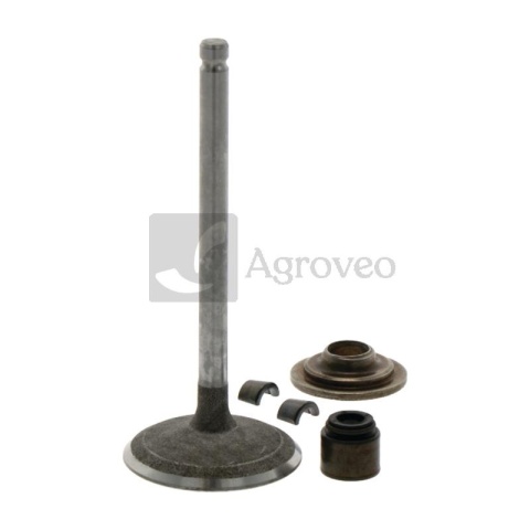 Zawór ssący 715791935 695761, 495857, 791935