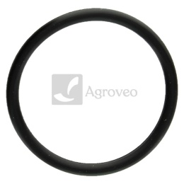 Pierścień uszczelniający 30270810 691870, 805012, 270920