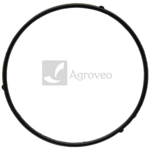 Uszczelka obudowy pływaka 55800206 380840455-0001