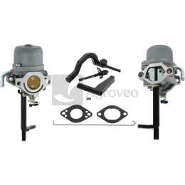 Gaźnik 30271119 699966, 695920, 699958, 695328, 796321, 591378, 695919, 695918, 697351, 696133, 698455, 696132, 695330, 520-00