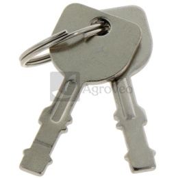 Kluczyki zapłonowe 18270175 925-2054A, 925-2054, 725-2054, 725-2054A, 430-894