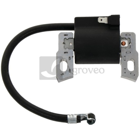 Cewka zapłonowa 18270509 796499, 799645, 592335, 793449, 595554