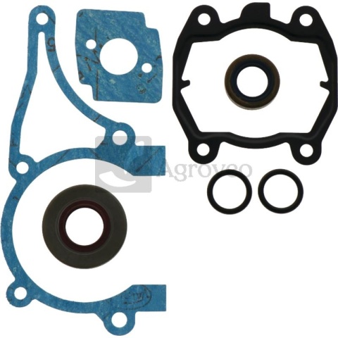Zestaw uszczelek silnika 40272363 4224 007 1012