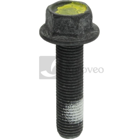 Śruba noża 13289589 583 11 70-01, 532 18 17-13