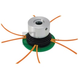 Przecinak 8-żyłkowy „Attilina