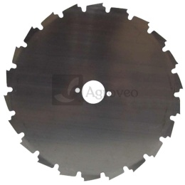 Brzeszczot z zębem typu dłuto 13270678