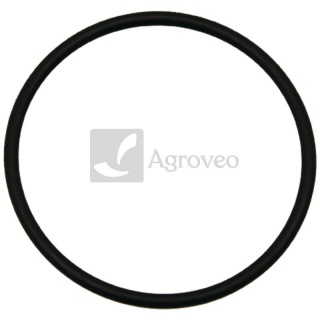 Oring 74702408 R541830