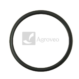 Oring 74712107 R101042