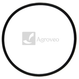Oring 38012574 R121424