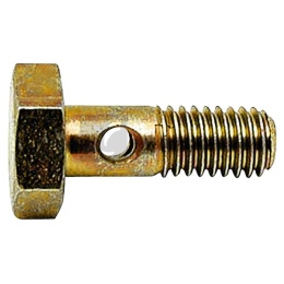 Śruba drążona 374205001/10